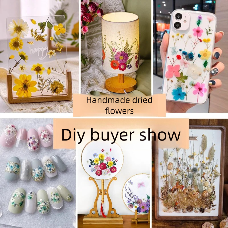 Mixed Dried Flowers, Pressed F - The Plant Parent recension och pris