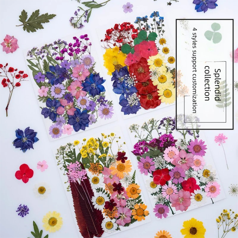 Mixed Dried Flowers, Pressed F - The Plant Parent recension och pris