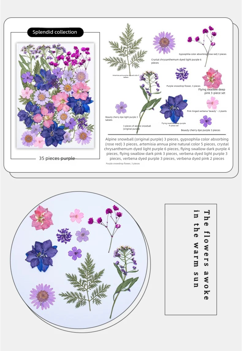 Mixed Dried Flowers, Pressed F - The Plant Parent recension och pris