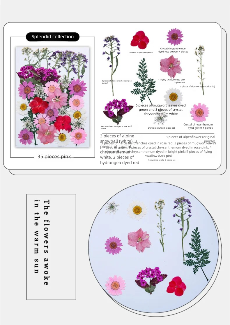 Mixed Dried Flowers, Pressed F - The Plant Parent recension och pris